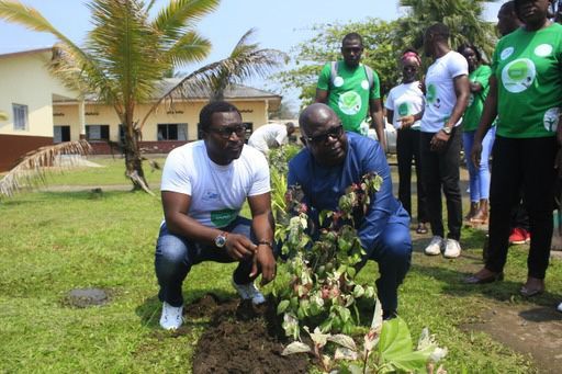 Plantation d'arbres par les bénévoles